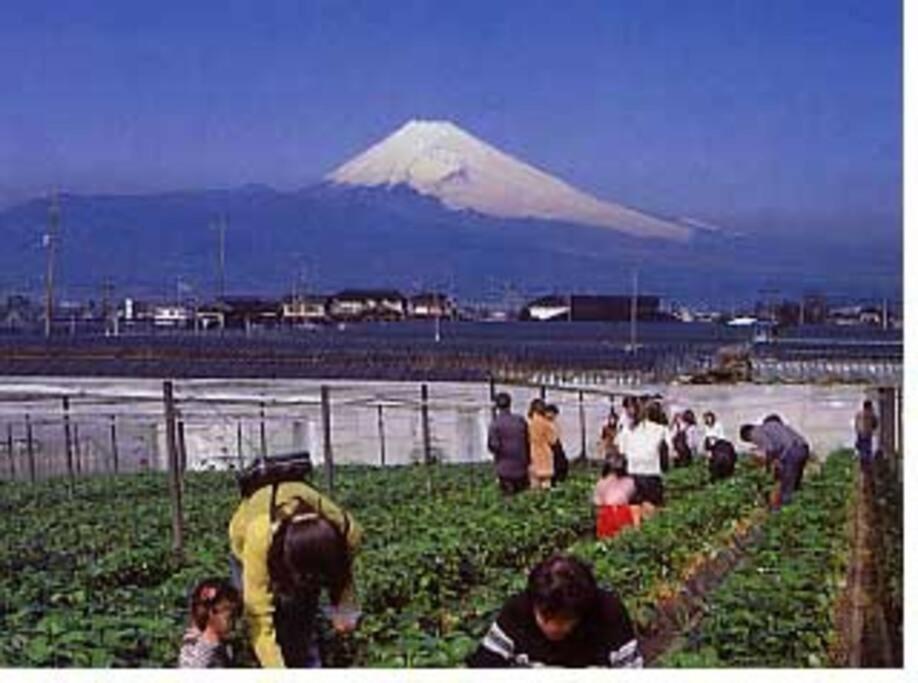 ゲストハウス+カフェわ　１日１組限定！ 築１００年の農家の古民家で宿泊体験、薪でお風呂沸かせます。焚き火もできます。 Kannami Экстерьер фото